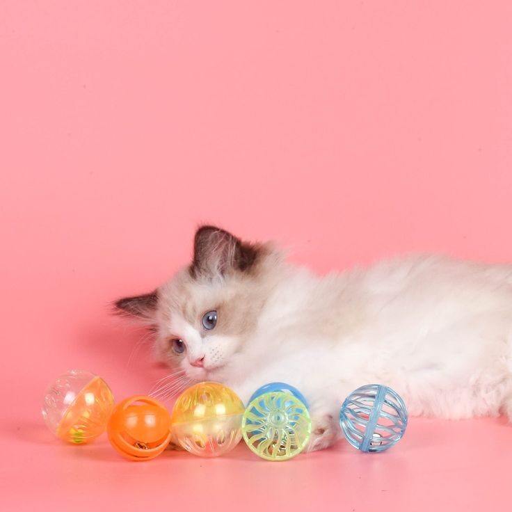 6b2c38a56e211b5215ea35018ab54627