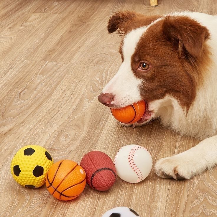 b2b49e18b4daf4bfee025391babe730d