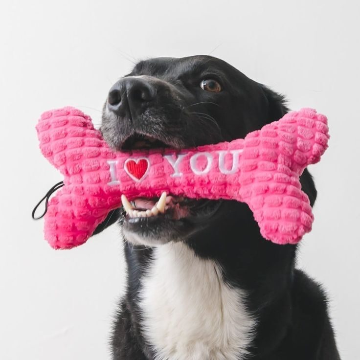 b86abaeda9180d334425c52cb4accbe8